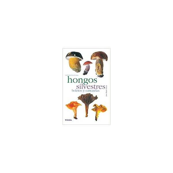 Hongos silvestres. Boletos y cantarelas