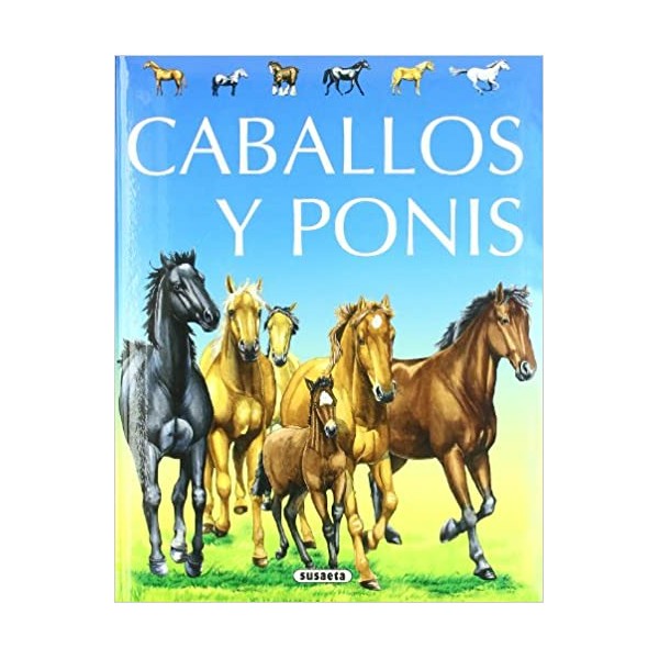 Naturaleza joven caballos y ponis