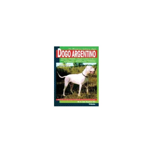 Dogo argentino t577
